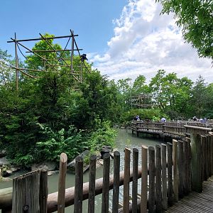 Jun. 2020 - Gibbon Islands