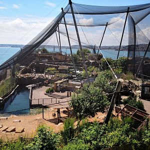 Living Coasts - Day of closure 15/06/2020