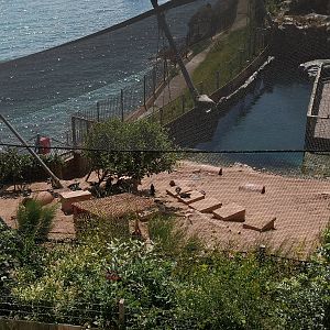 Living Coasts Penguin Beach - Day of closure 15/06/2020