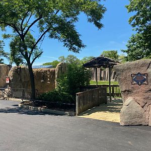 Former African Forest