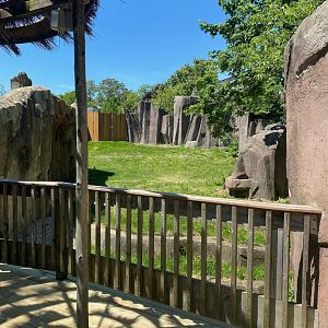 Former African Forest