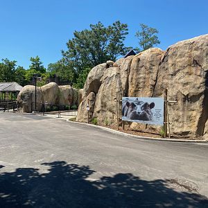 Hippo Exhibit Poster