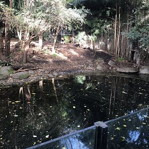Sumatran Tiger Enclosure