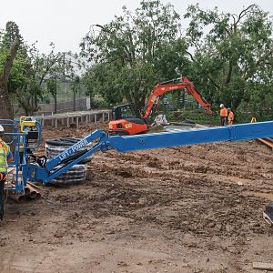 Latin American Aviary Construction - 16/06/2020