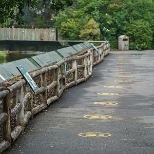 Social Distancing - 16/06/2020