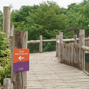 Social Distancing Signage - 16/06/2020