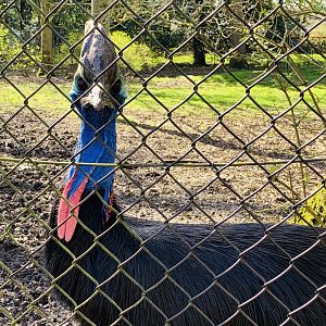 Cotswold Wildlife Park - 22nd March 2020 (pre-lockdown)