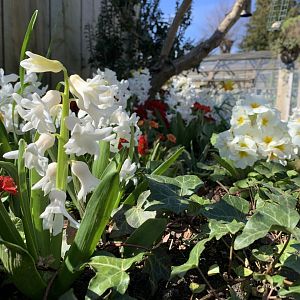 Cotswold Wildlife Park - 22nd March 2020 (pre-lockdown)