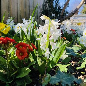 Cotswold Wildlife Park - 22nd March 2020 (pre-lockdown)