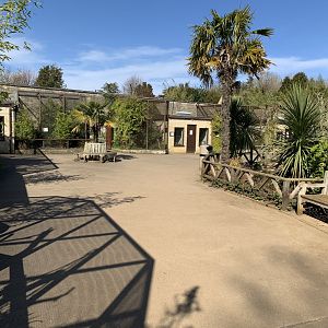 Cotswold Wildlife Park - 22nd March 2020 (pre-lockdown)