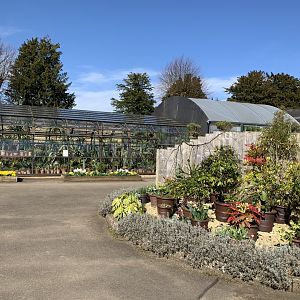 Cotswold Wildlife Park - 22nd March 2020 (pre-lockdown)