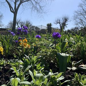 Cotswold Wildlife Park - 22nd March 2020 (pre-lockdown)