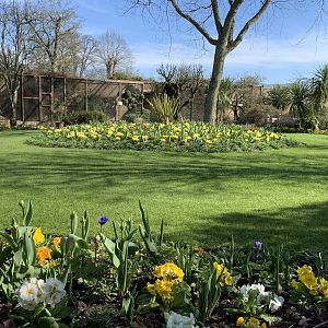 Cotswold Wildlife Park - 22nd March 2020 (pre-lockdown)