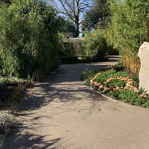 Cotswold Wildlife Park - 22nd March 2020 (pre-lockdown)