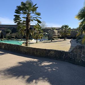 Cotswold Wildlife Park - 22nd March 2020 (pre-lockdown)