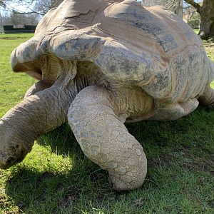 Cotswold Wildlife Park - 22nd March 2020 (pre-lockdown)