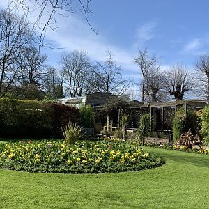 Cotswold Wildlife Park - 22nd March 2020 (pre-lockdown)