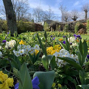 Cotswold Wildlife Park - 22nd March 2020 (pre-lockdown)