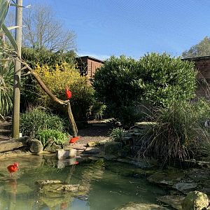 Cotswold Wildlife Park - 22nd March 2020 (pre-lockdown)