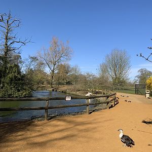 Cotswold Wildlife Park - 22nd March 2020 (pre-lockdown)