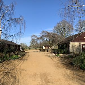 Cotswold Wildlife Park - 22nd March 2020 (pre-lockdown)