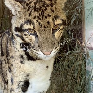 Cotswold Wildlife Park - 22nd March 2020 (pre-lockdown)