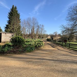 Cotswold Wildlife Park - 22nd March 2020 (pre-lockdown)