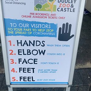 Dudley Zoo - 16th June 2020 (Covid-Secure Zoo)