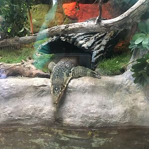 Asian Water Monitor