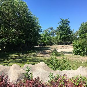Zebra and Wildebeest exhibit