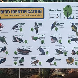 New Temporary Aviary Sign