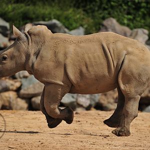 Little Lottie Jumping for joy to see people again