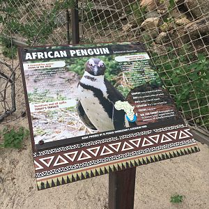 Water’s Edge Africa