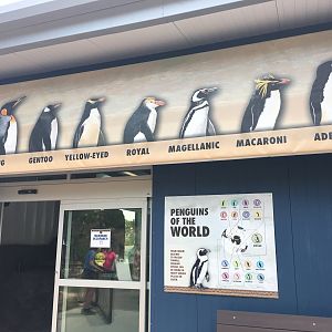 Water’s Edge Africa