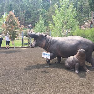 Water’s Edge Africa