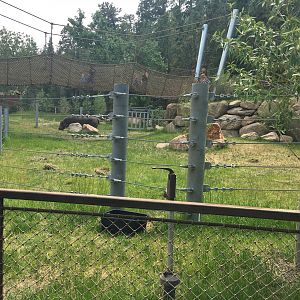 Water’s Edge Africa