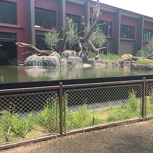 Water’s Edge Africa