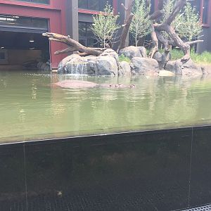 Water’s Edge Africa