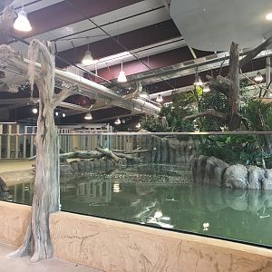 Water’s Edge Africa