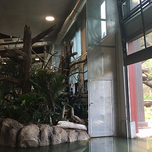 Water’s Edge Africa