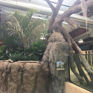 Water’s Edge Africa