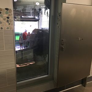 Water’s Edge Africa