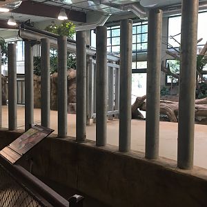 Water’s Edge Africa