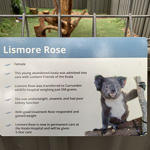Lismore Rose Information Sign