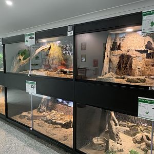 Indoor Snake Enclosures
