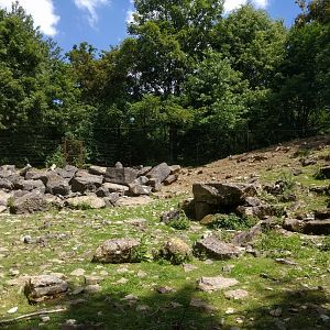 Second European moufflon Enclosure