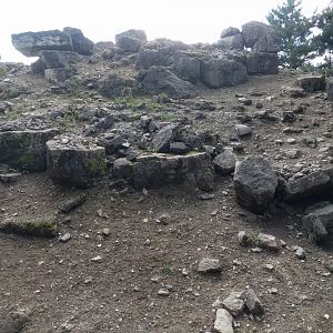 Frontside View of Alpine ibex Enclosure