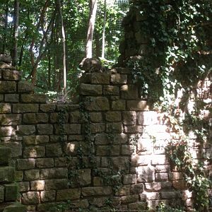 Inside of the great Grey owl Walk through Aviary