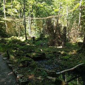 Inside of the snowy owl Walk through Aviary