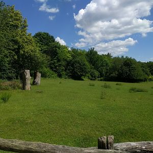 Frontside View of European red Deer Enclosure